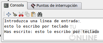 Ejecución