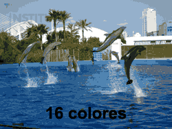 Imagen de 16 colores