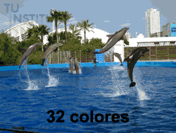 Imagen de 32 colores