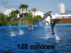 Imagen de 128 colores